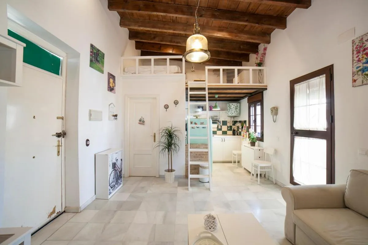 Image 6 of Alohamundi Castilla II