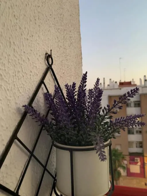 Image 4 of Anfitriones de Glamour – Albor de Sevilla