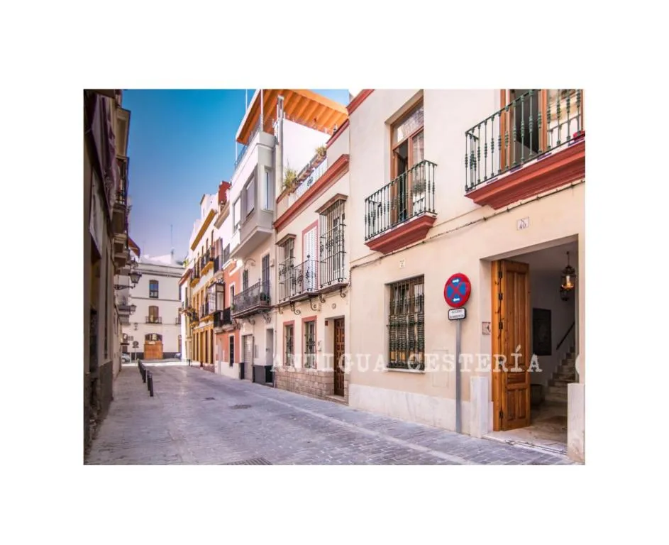 Image of Antigua Cestería