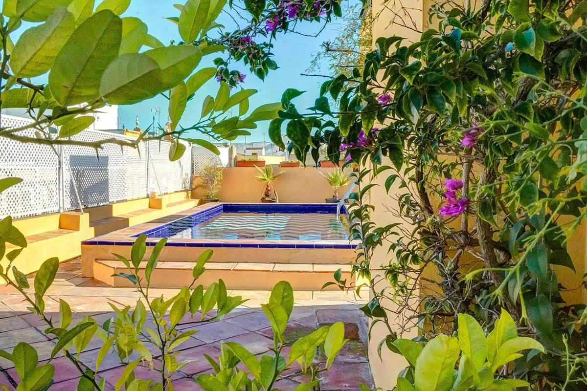Image 6 of Apartamento Trajano