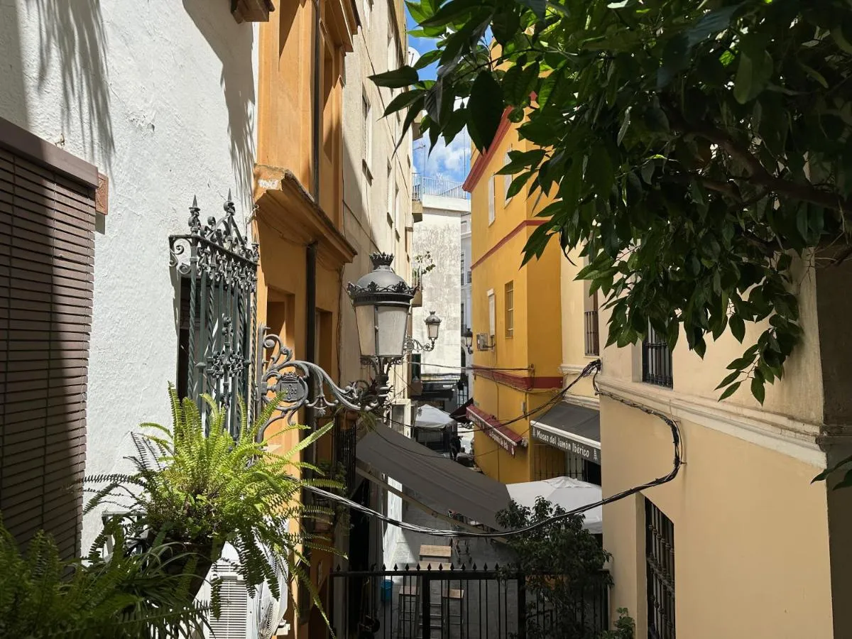 Image 5 of Blue House Arenal Seville