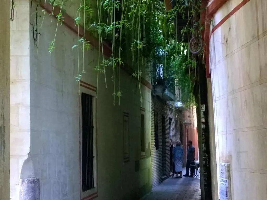 Image of Calle verde 9