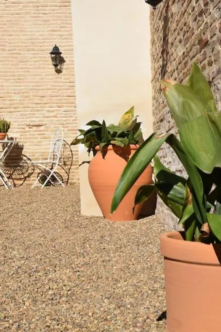 Image 4 of Casa de la Abuela Dolores