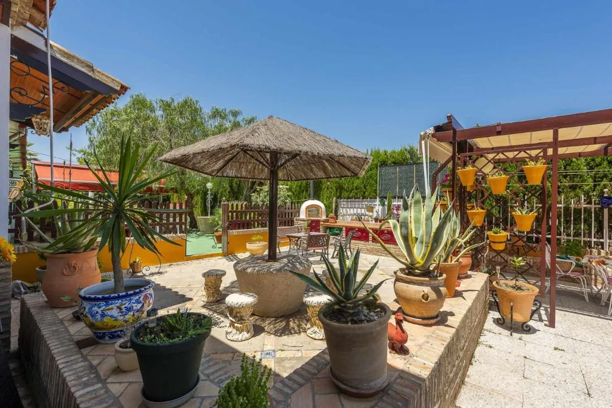 Image 6 of Casa rural Cactus en Écija Campiña de Sevilla