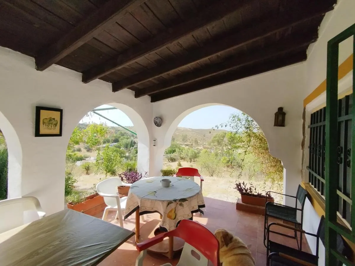 Image 1 of El Brinco