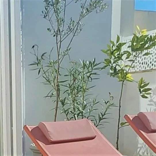 Image of Entre Catedrales Terrace