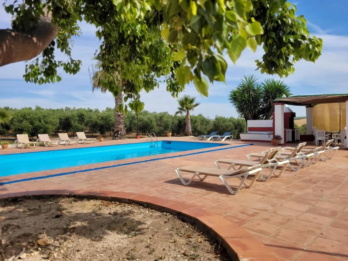 Image 3 of Finca Castellares