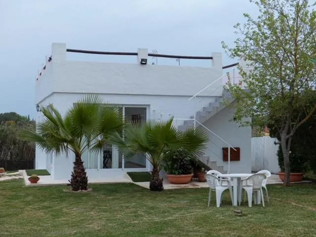 Image 5 of Joju