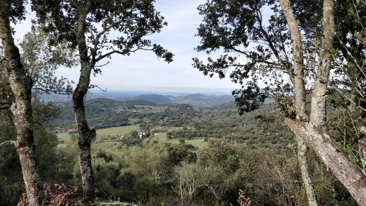 Image 4 of Las Navezuelas