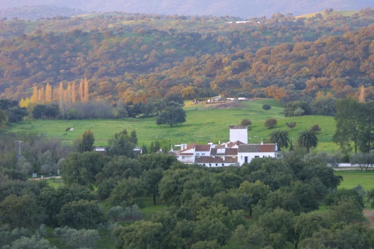 Image 5 of Las Navezuelas