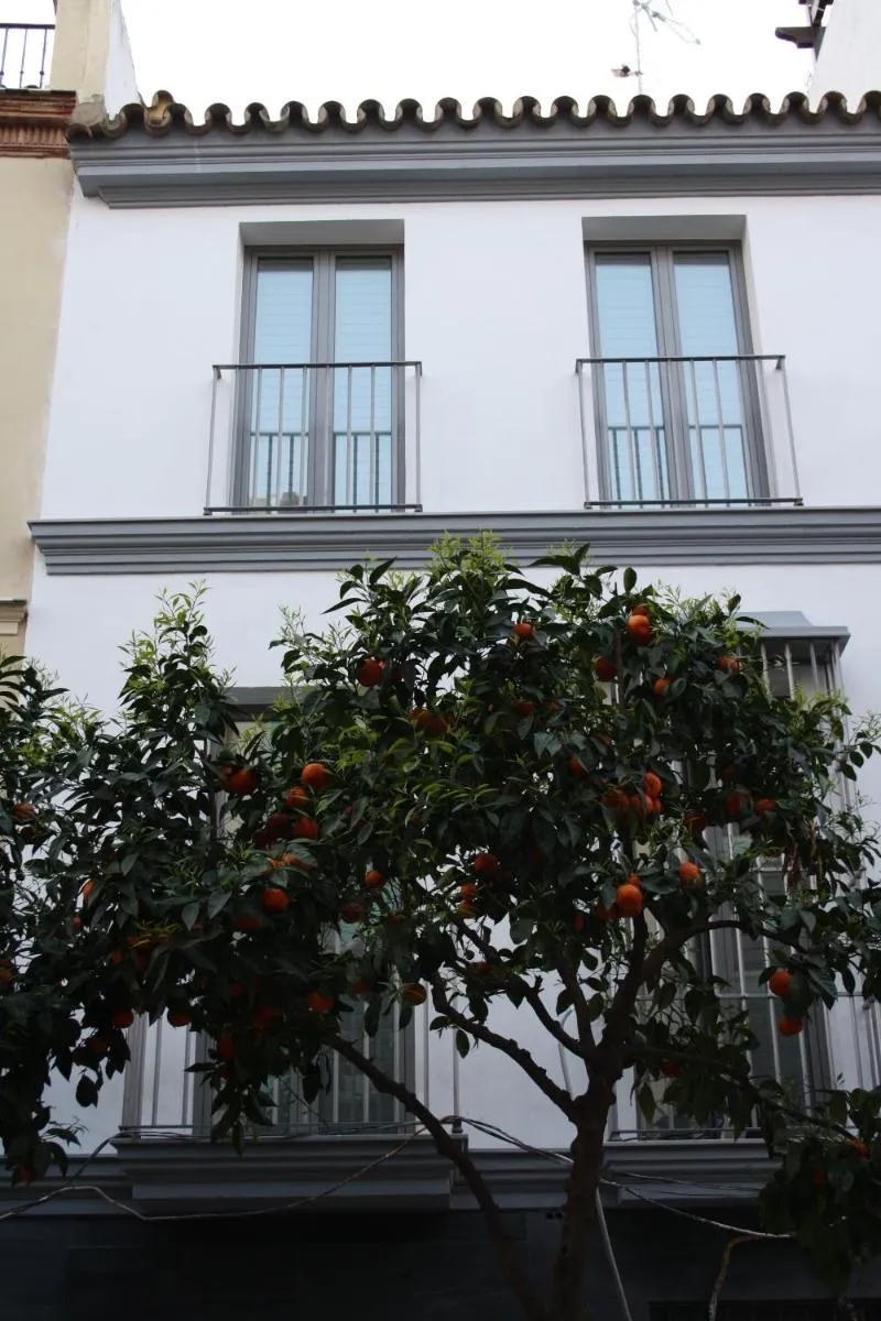 Image 3 of Ritual Sevilla Suites – Malaver 23