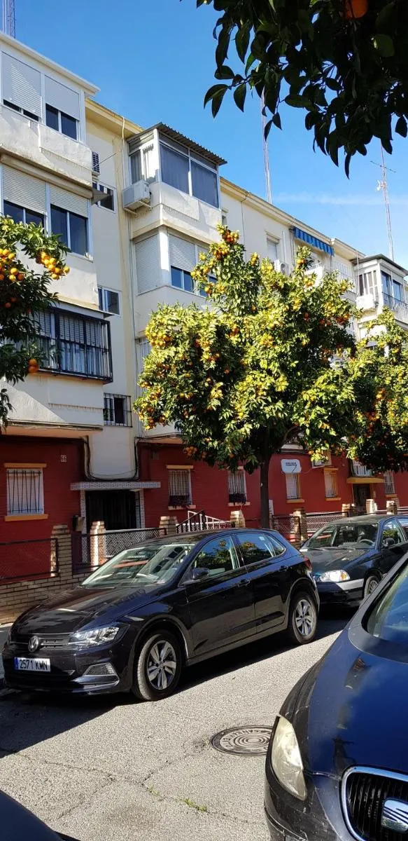 Image 5 of Sevilla Nervión piso con Patio