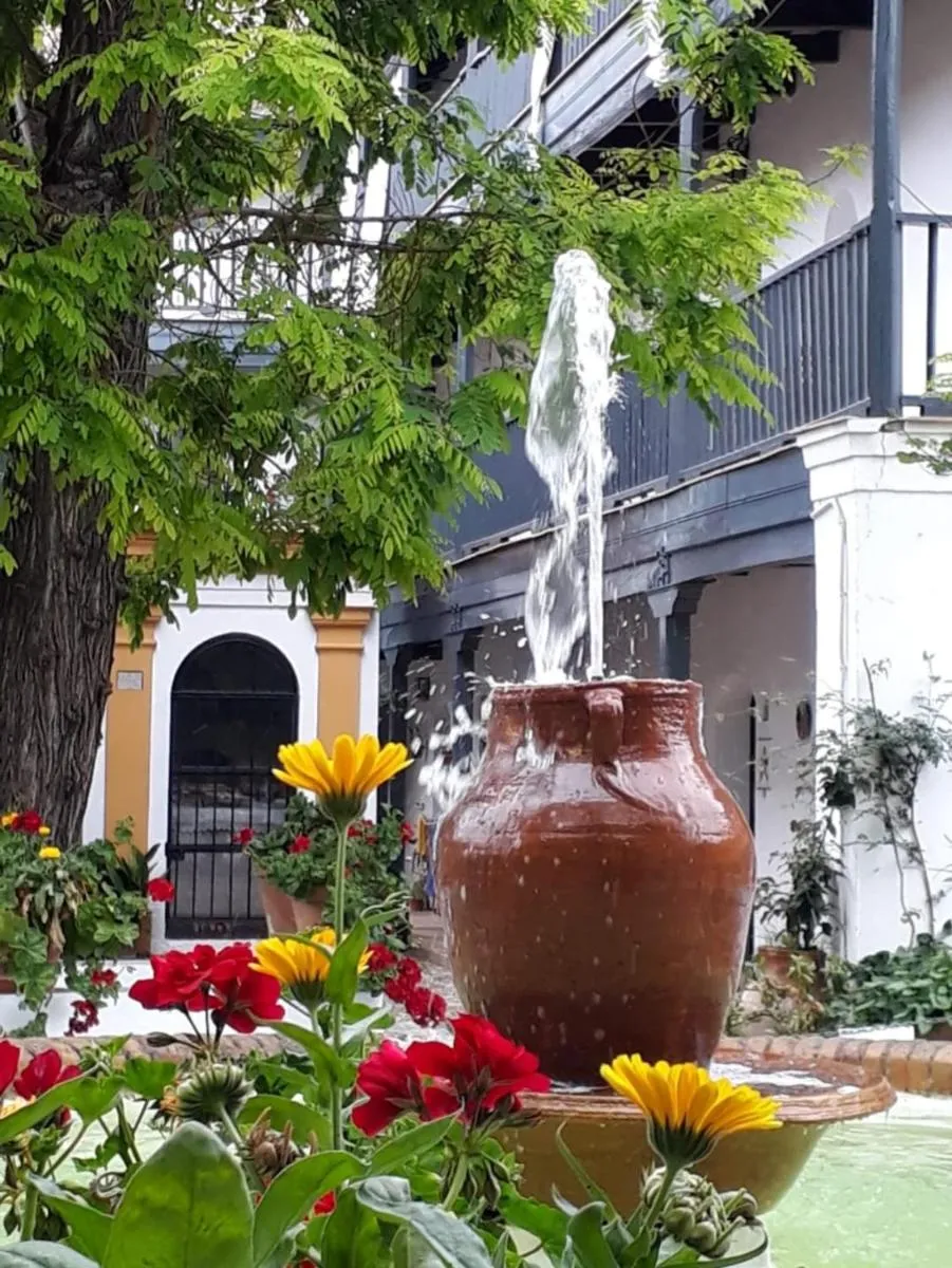 Image 3 of Andalusian Courtyard