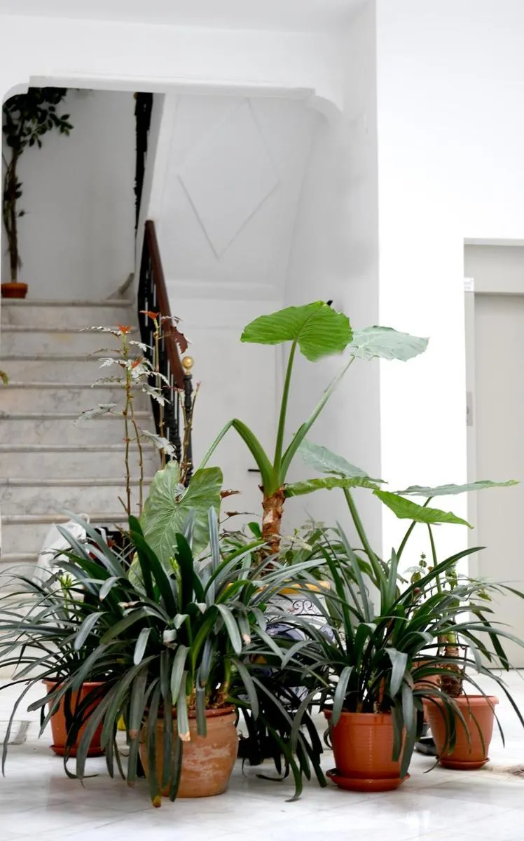 Image 5 of Apartamento Alameda