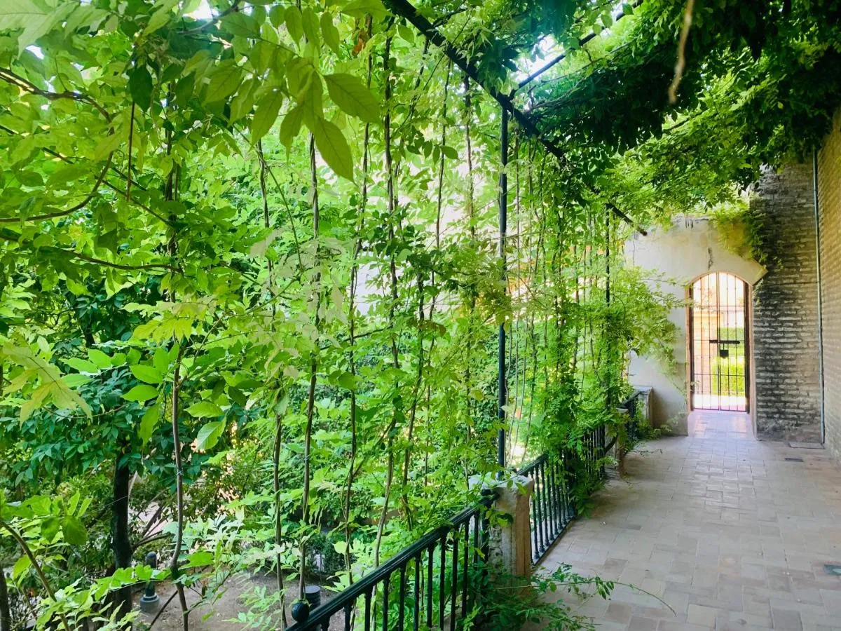 Image 5 of Apartamento Puerta Carmona