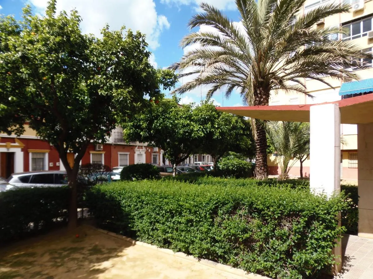Image 5 of Apartamento en Triana