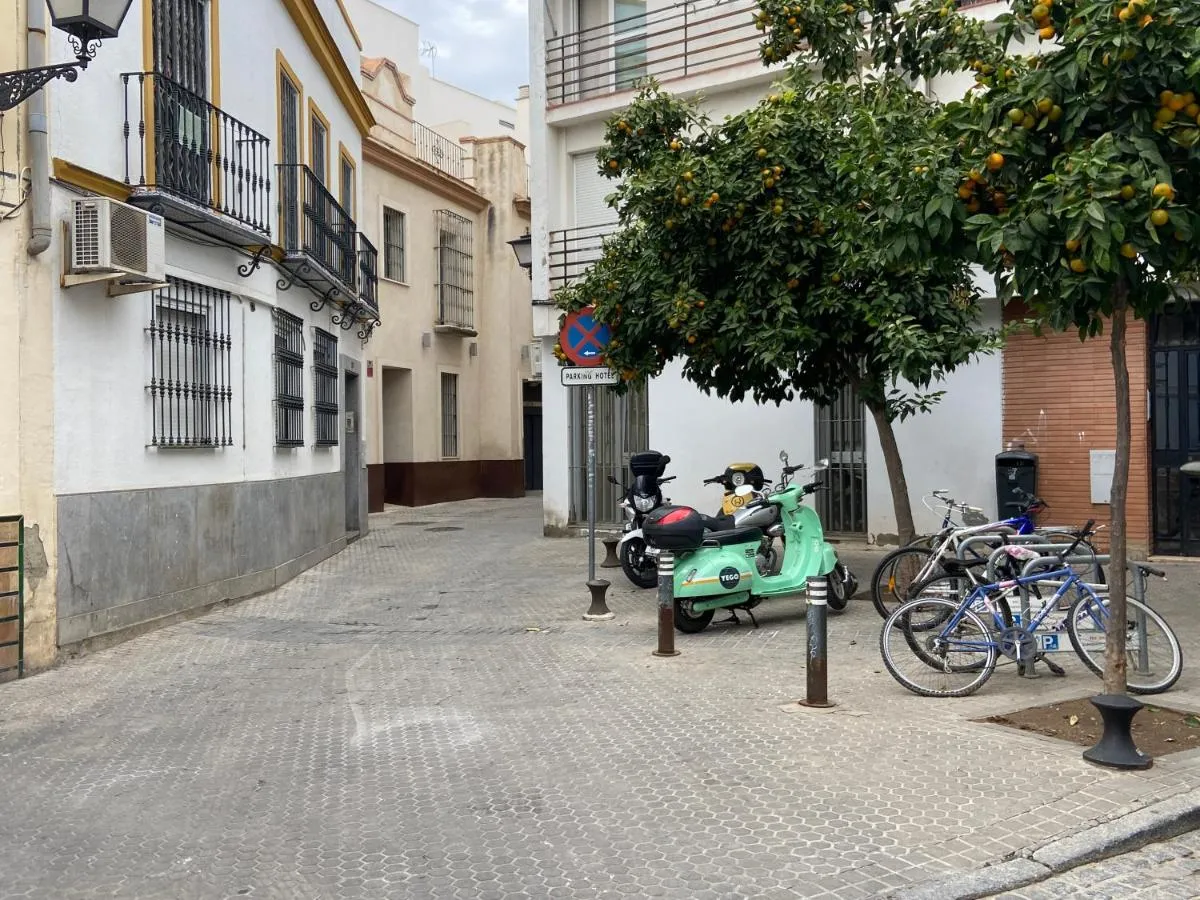 Image 5 of Apartment Wall Center – Aloha Sevilla