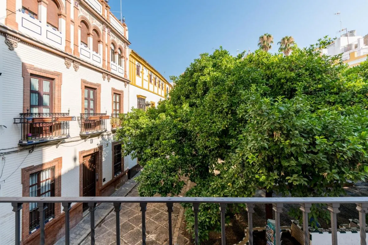 Image 5 of Doña Elvira Suites Cathedral