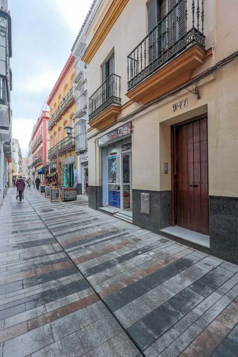 Image 5 of Estudio calle baños