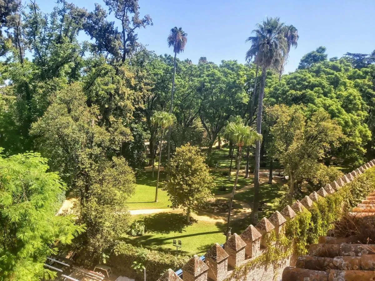 Image 5 of La Casa de San Fernando con vistas a los Reales Alcázares