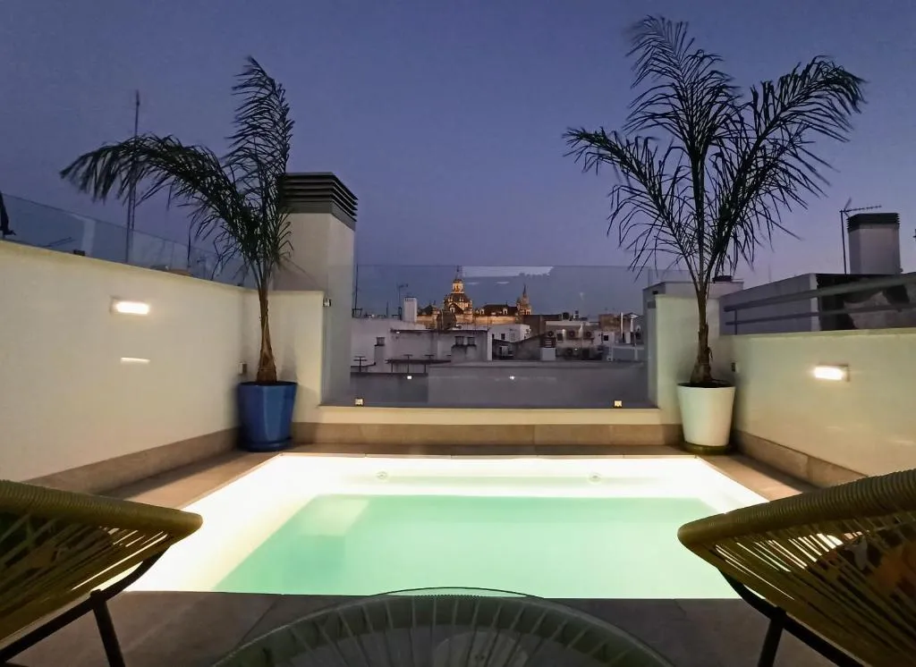 Image of Luxury Penthouse with private pool Setas monument