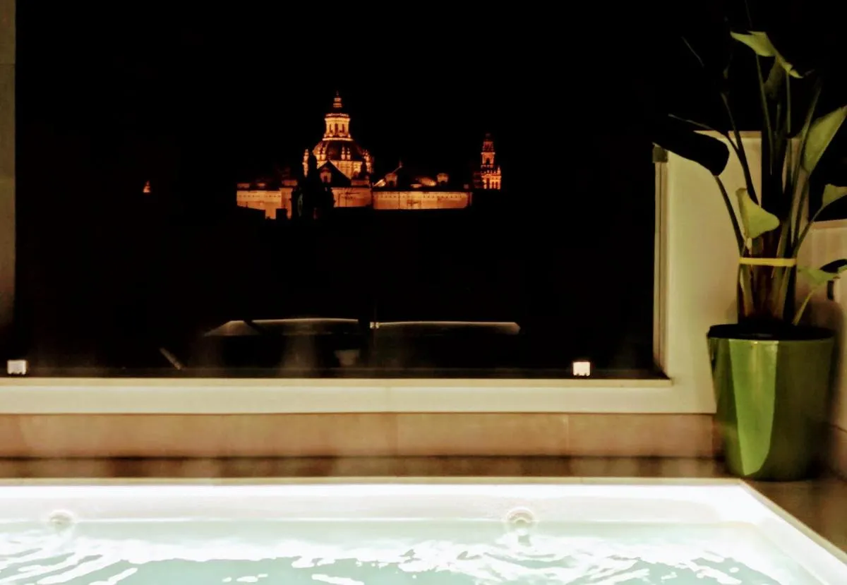 Image 2 of Luxury Penthouse with private pool Setas monument