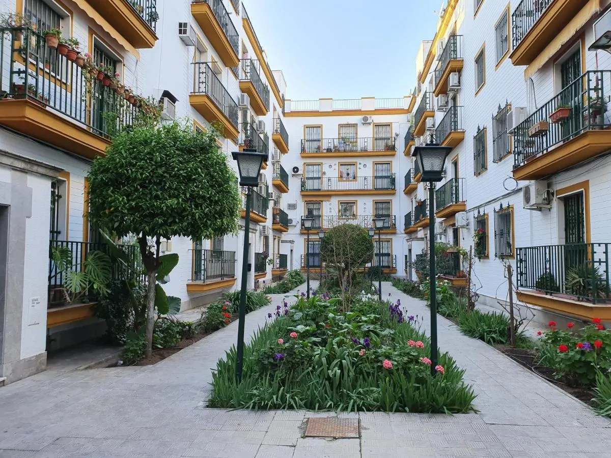 Image 5 of NOOL Sevilla