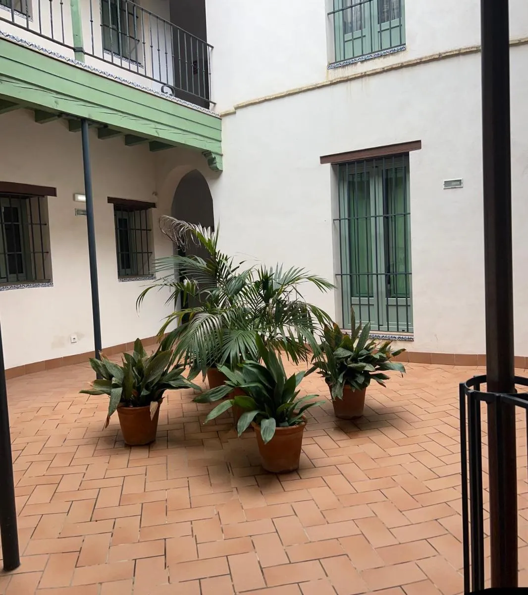 Image 6 of O&L Gran Poder – Modern loft with Private Pool and Terrace