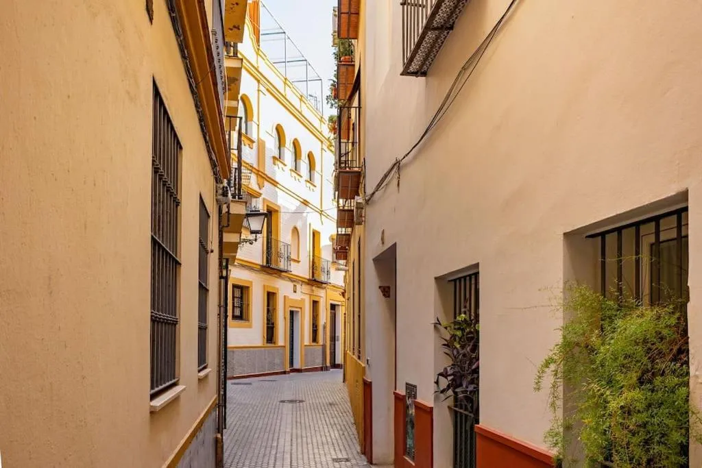 Image 5 of Santa Catalina centra suite by Valcambre