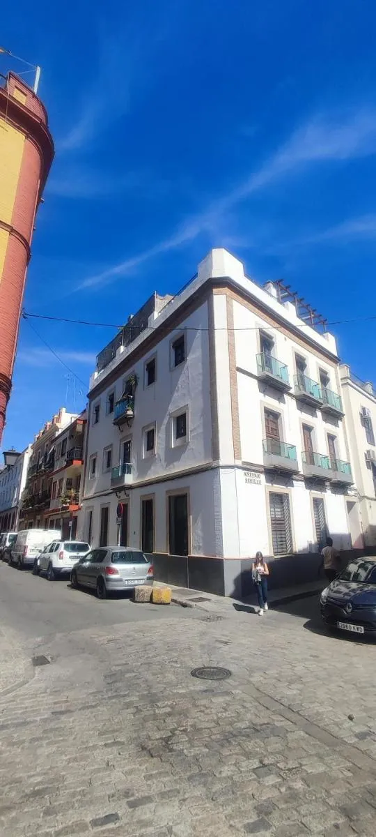 Image 3 of Stylish loft duplex – Alameda