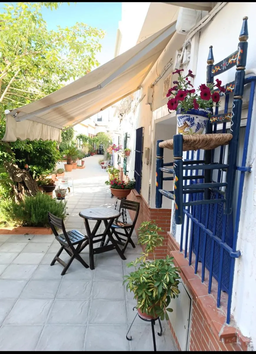 Image 4 of Típico y pintoresco patio de vecinos, con encanto