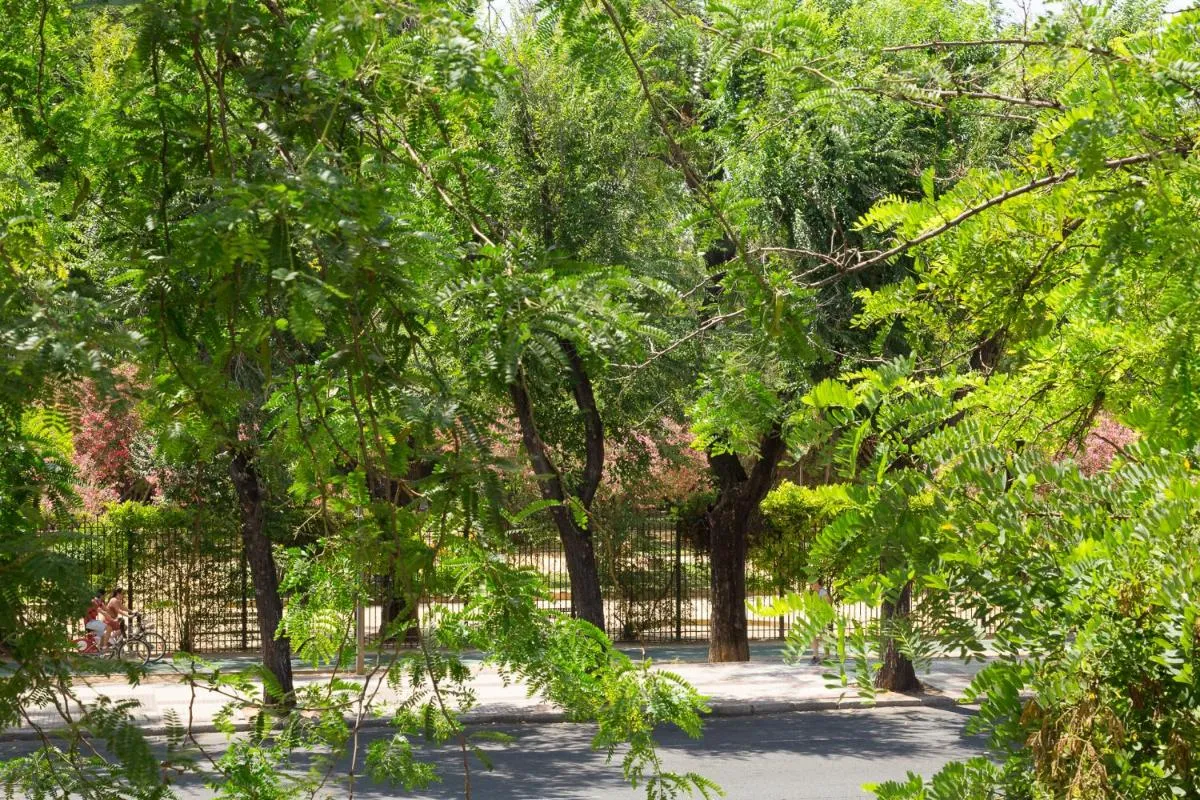 Image 2 of Veoapartment Jardines Murillo